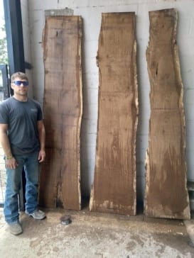 Burr-Oak-slabs-10