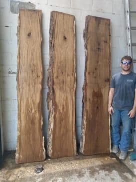 Burr-Oak-slabs-11