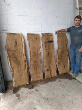 Burr-Oak-slabs-3