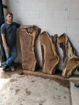 Burr-Oak-slabs-7