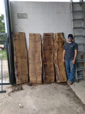 Burr-Oak-slabs